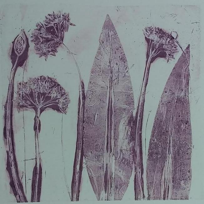 Janet Stevenson,  East Lothian Wild Garlic, acrylic on board, gel print 1/5,  25x25cm, £30