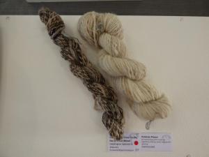 Commended  spinning group, demo skeins