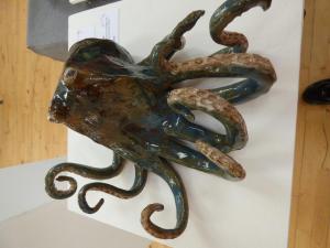 Commended  Liz Redpath, Octopus